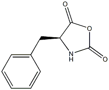 AG¹ó±ö»á¡¤(ÖйúÓÎ)¼¯ÍÅÊ×Ò³