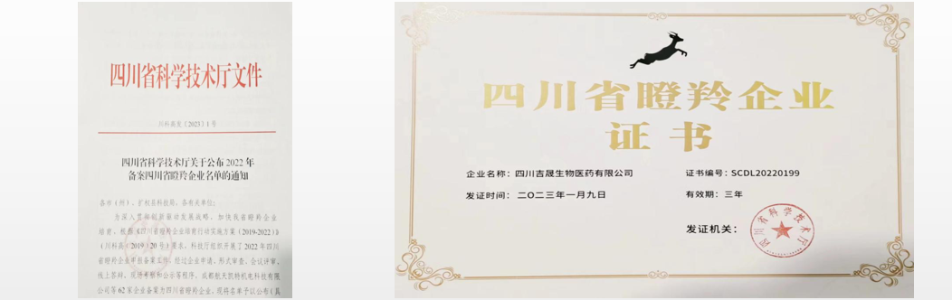 AG¹ó±ö»á¡¤(ÖйúÓÎ)¼¯ÍÅÊ×Ò³