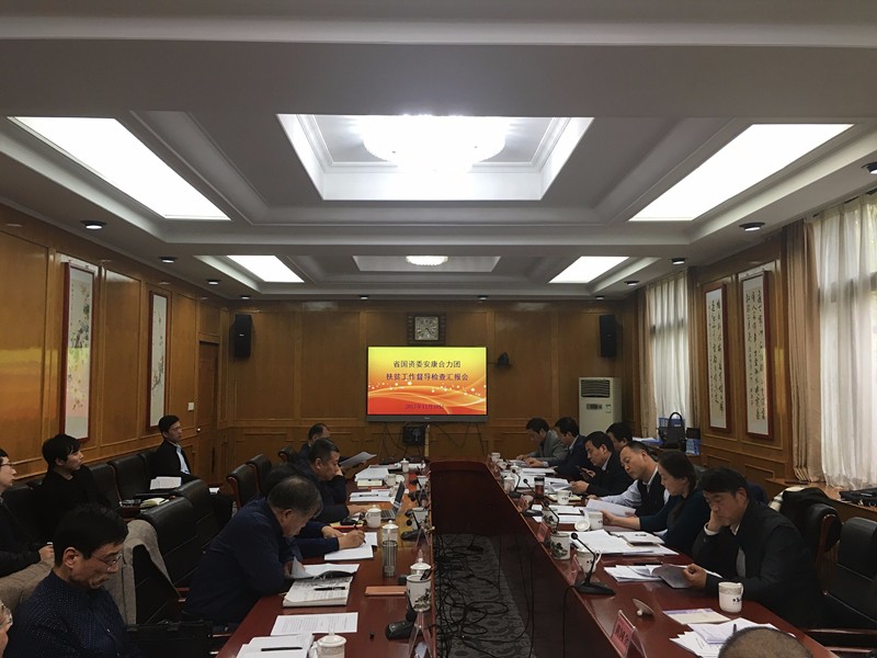 陕西EVO厅集团参与省国资委安康合力团扶贫工作督导查抄汇报会