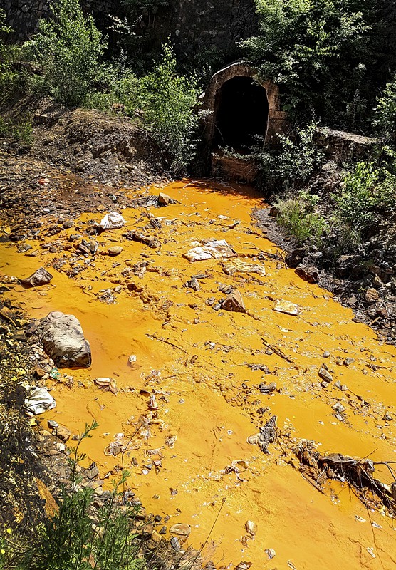 旧日秦岭伤疤 今日景致如画——陕西EVO厅集团黄龙河道域传染治理侧记