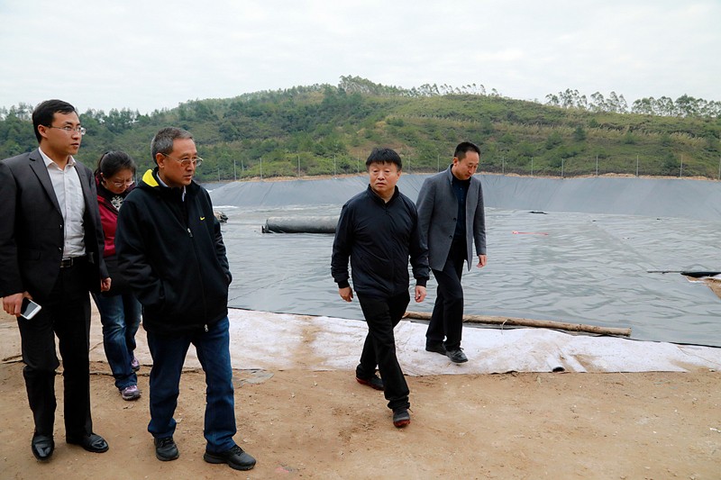 熊良虎在广西调查调研固废措置工作时指出：抢抓机缘，加快优势产业“走出去”