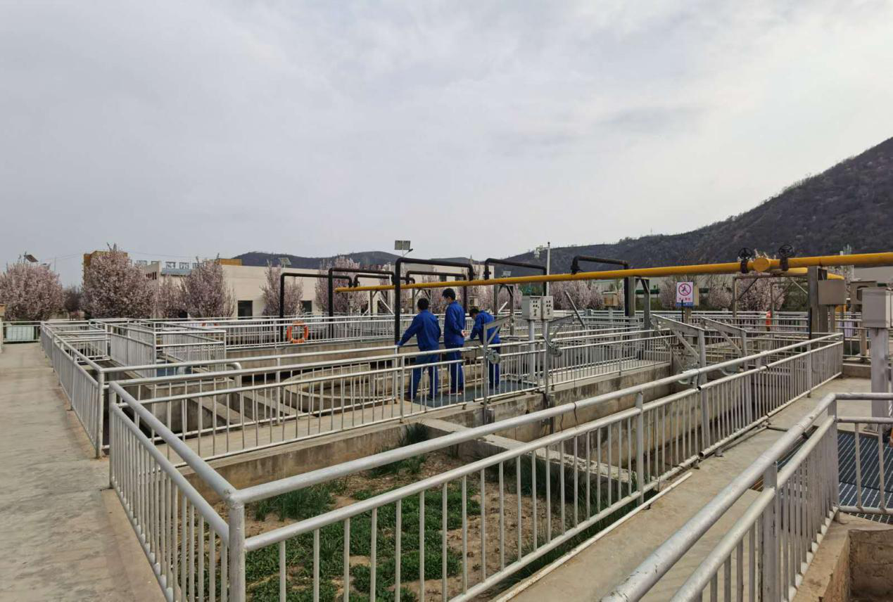 “绿满厂区春意浓”摄影文章征集活动部门文章展示（二）