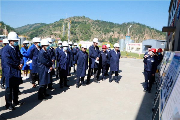 陕西EVO厅集团复工复产促增长项目观摩会议与会人员走进EVO厅保隆生态三秦在延在铜项目