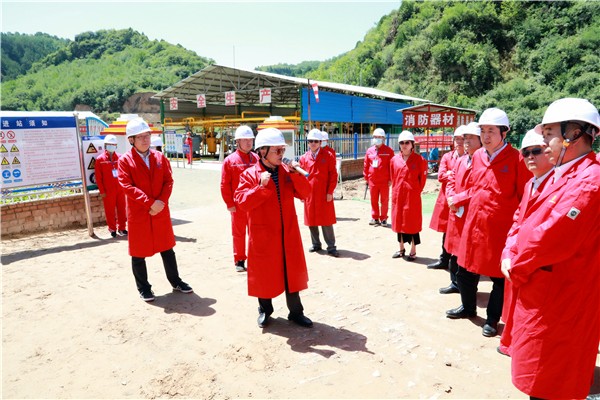 陕西EVO厅集团复工复产促增长项目观摩会议与会人员走进EVO厅保隆生态三秦在延在铜项目