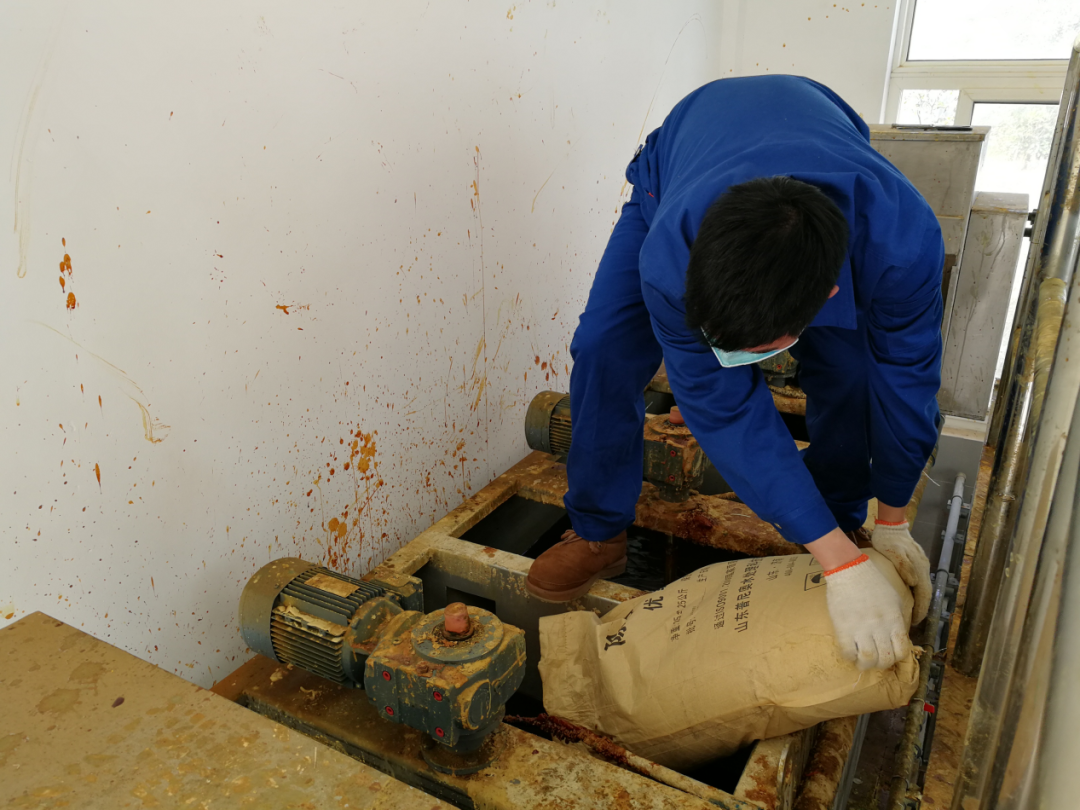 这个端午节，水环境人这么过（二）