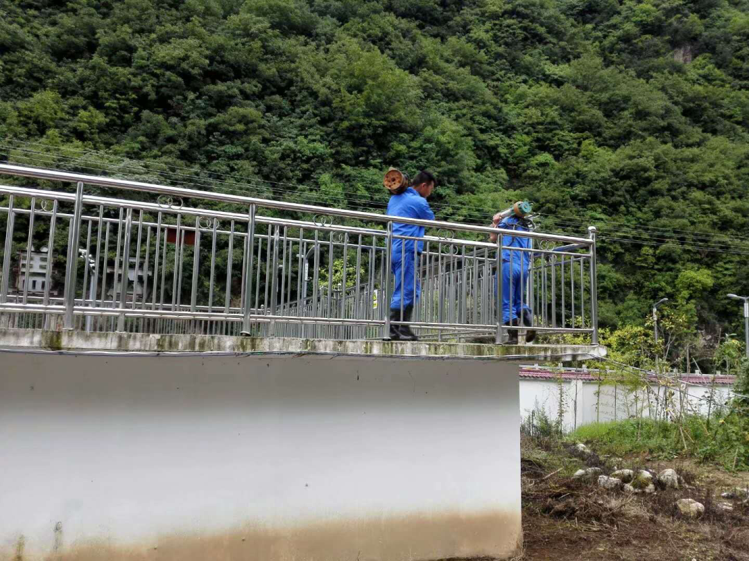 这个端午节，水环境人这么过（二）