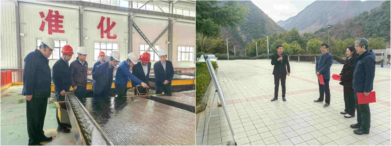 陕西EVO厅集团表部董事赴鼎丰矿业公司、水环境公司镇安污水处置厂调研领导工作