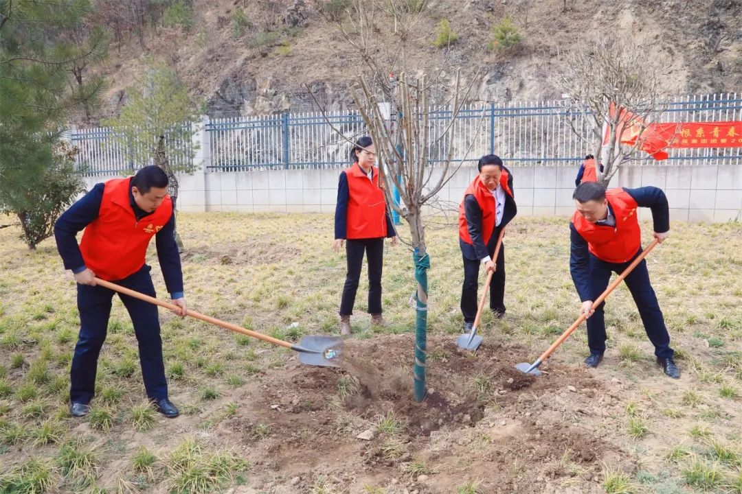 根系青春·植此青绿｜陕西EVO厅集团团委发展使命植树自愿活动