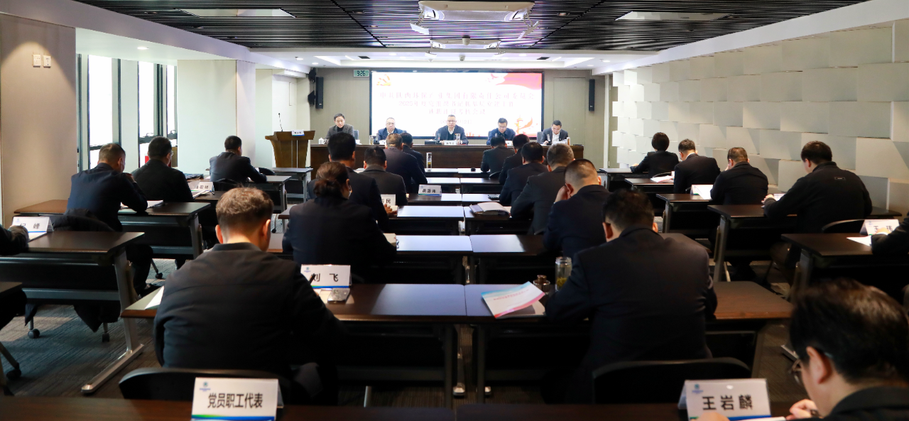 陕西EVO厅集团党委召开2025年度党组织书记抓基层党建工作述职评议查核会议